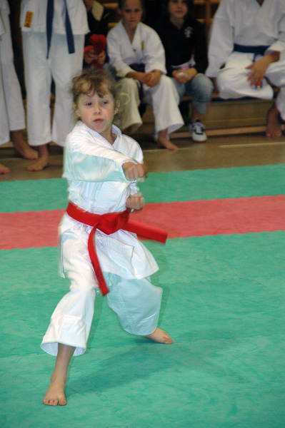 Shotokan-Cup_2007_0017.jpg