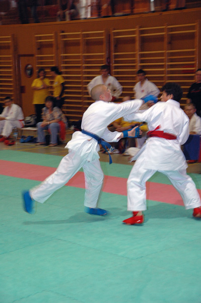 Shotokan-Cup_2007_0127.jpg