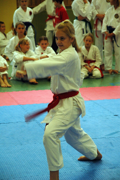 Salzburg-Cup2_2007_0093.jpg