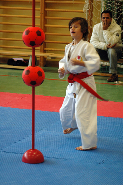 Salzburg-Cup2_2007_0287.jpg