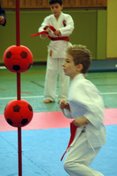 Salzburg-Cup2_2007_0307.jpg