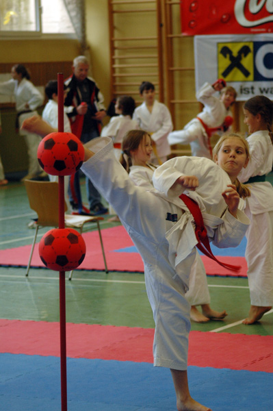 Salzburg-Cup2_2007_0312.jpg