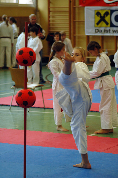 Salzburg-Cup2_2007_0314.jpg