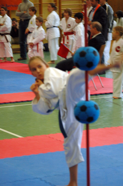 Salzburg-Cup2_2007_0316.jpg