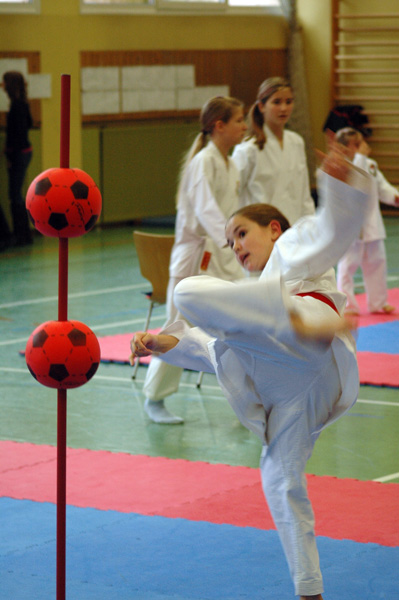 Salzburg-Cup2_2007_0328.jpg
