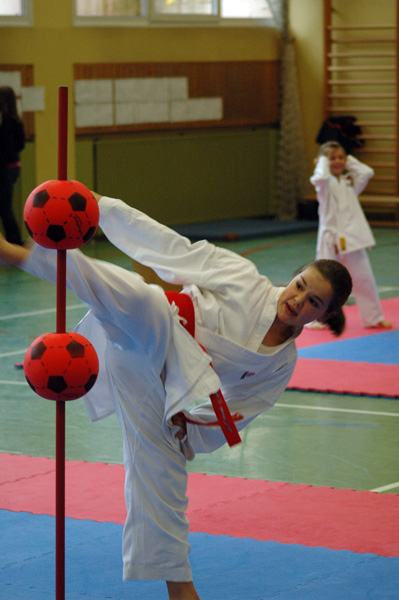 Salzburg-Cup2_2007_0329.jpg