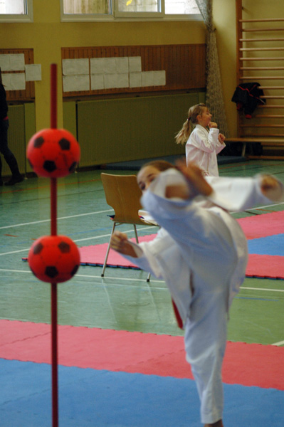 Salzburg-Cup2_2007_0330.jpg
