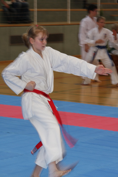 Int-Fruehjahrscup_2008_0157.jpg