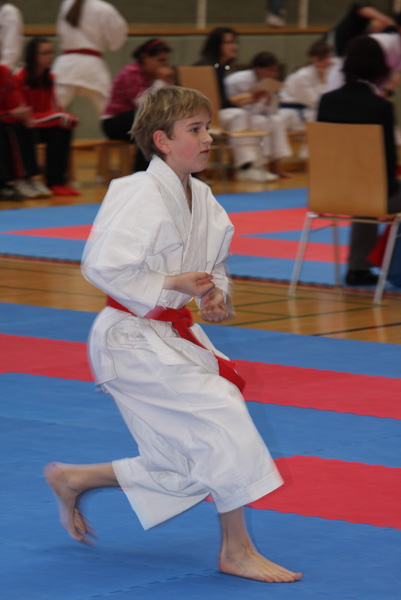 Int-Fruehjahrscup_2008_0178.jpg