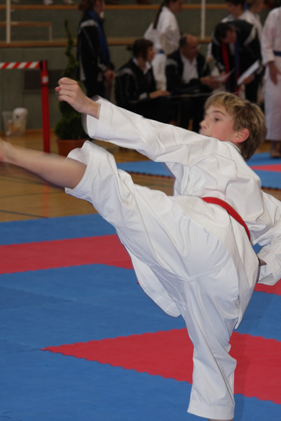 Int-Fruehjahrscup_2008_0208.jpg