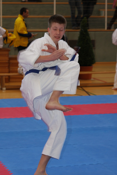 Int-Fruehjahrscup_2008_0235.jpg