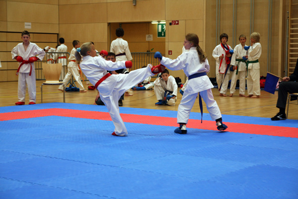 ASKOE_2008_0100.jpg