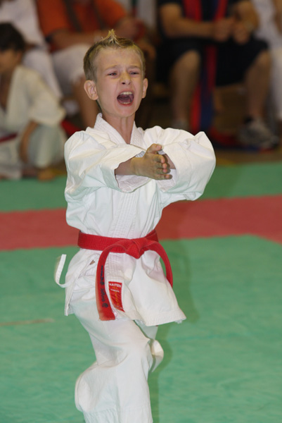 Shotokan-Cup_2008_0023.jpg