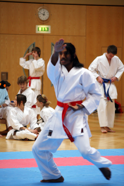 LM_2009_0323.jpg