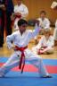 LM_2009_0232.jpg