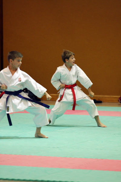 Shotokan-Cup_2009_0010.jpg