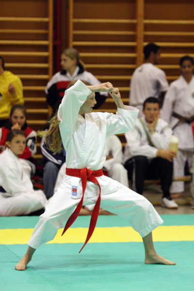 Shotokan-Cup_2009_0040.jpg