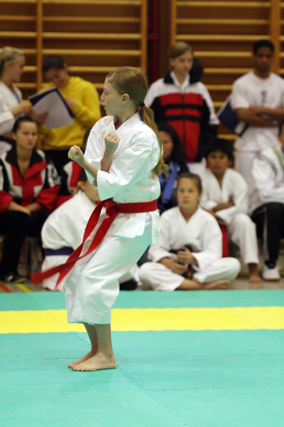 Shotokan-Cup_2009_0041.jpg