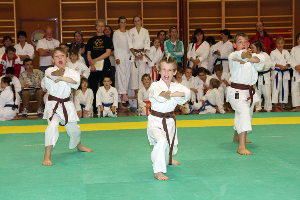 Shotokan-Cup_2009_0076.jpg