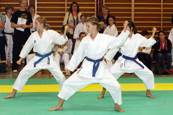 Shotokan-Cup_2009_0096.jpg