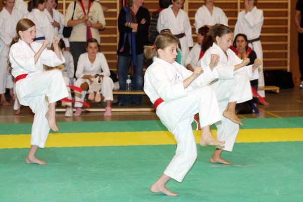 Shotokan-Cup_2009_0105.jpg