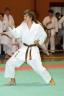 Shotokan-Cup_2009_0062.jpg