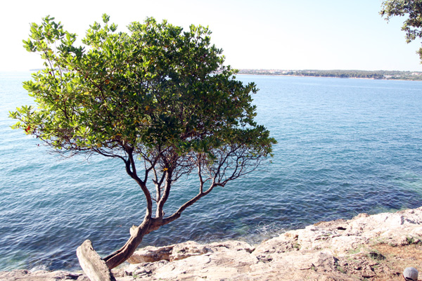 Porec_2009_0240.jpg