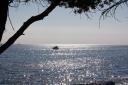 Porec_2009_0205.jpg