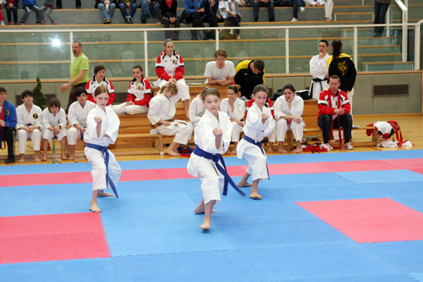 FJ-Cup_2010_0005.jpg