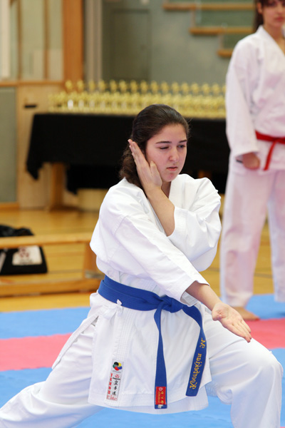 FJ-Cup_2010_0031.jpg