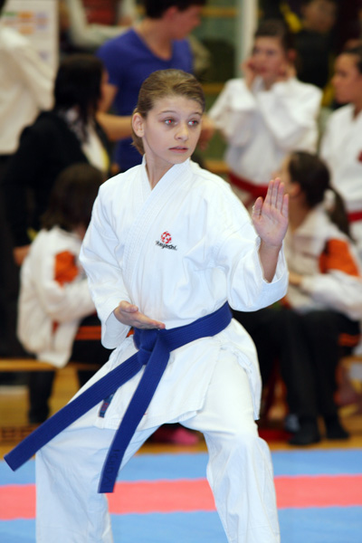 FJ-Cup_2010_0115.jpg