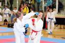 FJ-Cup_2010_0072.jpg