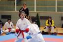 FJ-Cup_2010_0085.jpg