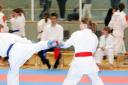 FJ-Cup_2010_0087.jpg