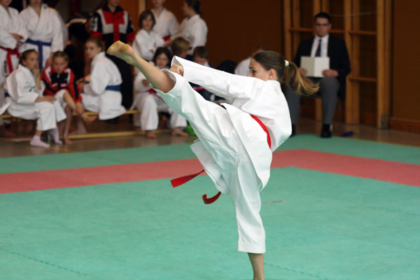 Shotokan-Cup_2010_0024.jpg