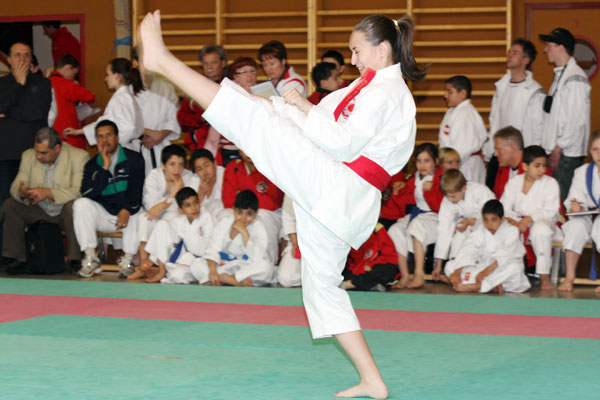 Shotokan-Cup_2010_0061.jpg