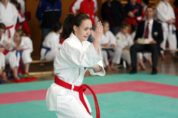 Shotokan-Cup_2010_0068.jpg