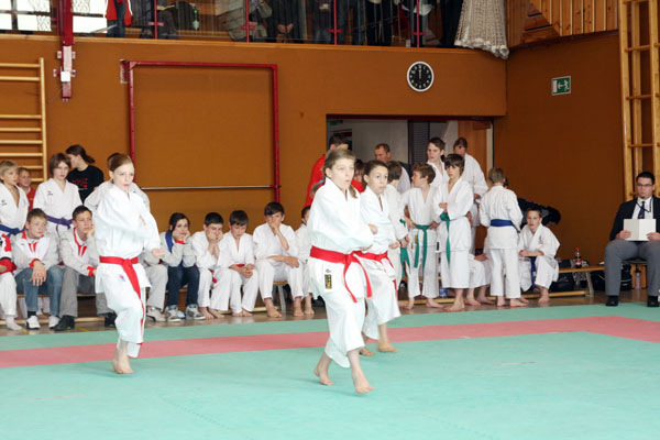 Shotokan-Cup_2010_0072.jpg