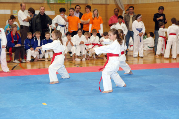 SalzburgCup1_2010_0012.jpg
