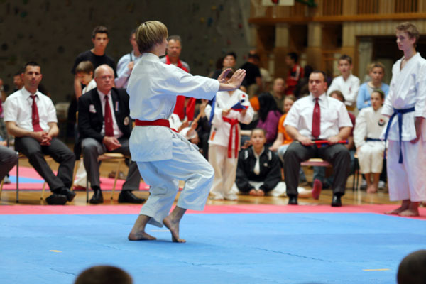 SalzburgCup1_2010_0224.jpg