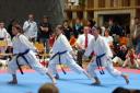 SalzburgCup1_2010_0162.jpg