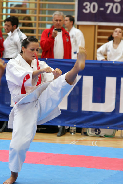 Austrian-Open_2010_0019.jpg