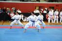 OeM_2010_0186.jpg