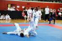 OeM_2010_0195.jpg
