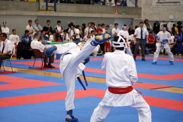 UdineOpen_2011_0080.jpg