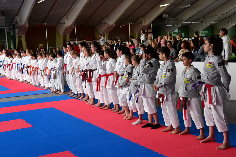 2017-05-20_Shotokan-OEM_1003.jpg