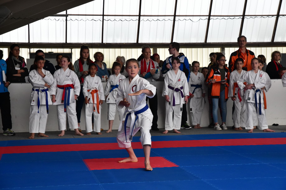 2017-05-20_Shotokan-OEM_1008.jpg