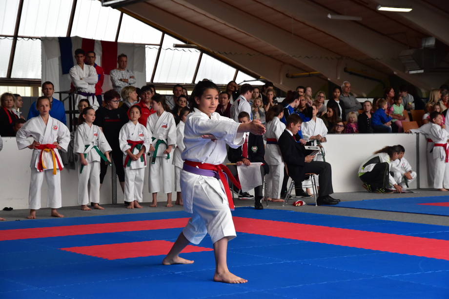 2017-05-20_Shotokan-OEM_1009.jpg