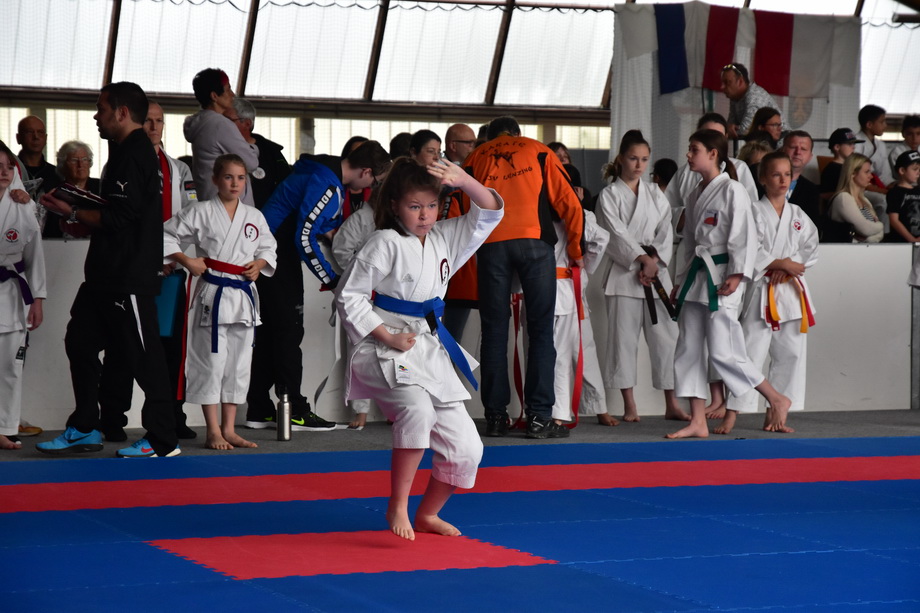 2017-05-20_Shotokan-OEM_1011.jpg
