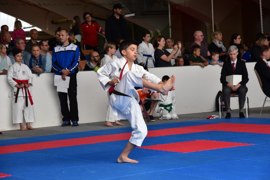 2017-05-20_Shotokan-OEM_1016.jpg